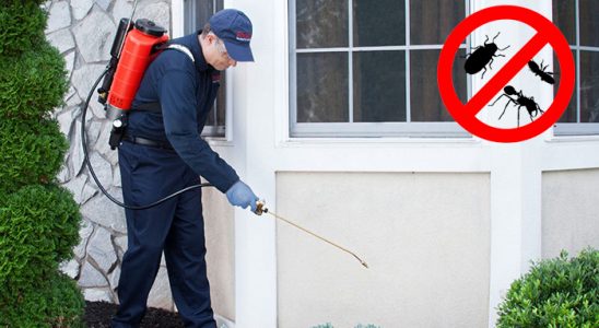 Harmandalı Böcek ve Haşere İlaçlama böcek ilaçlama ve haşere kontrolü — ilaclama-tr.com